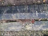 image of grave number 373148